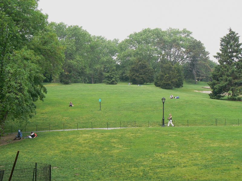 Central Park et autour: Cedar Hill 3